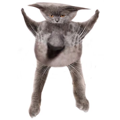 Oberezhnometano Blank Meme Template