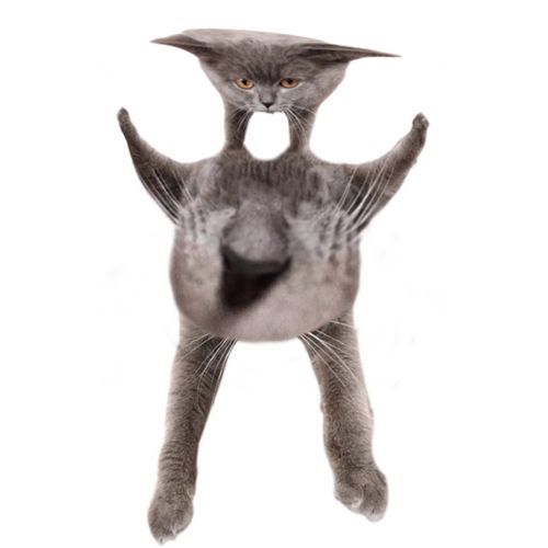 Oberezhnometano Blank Meme Template