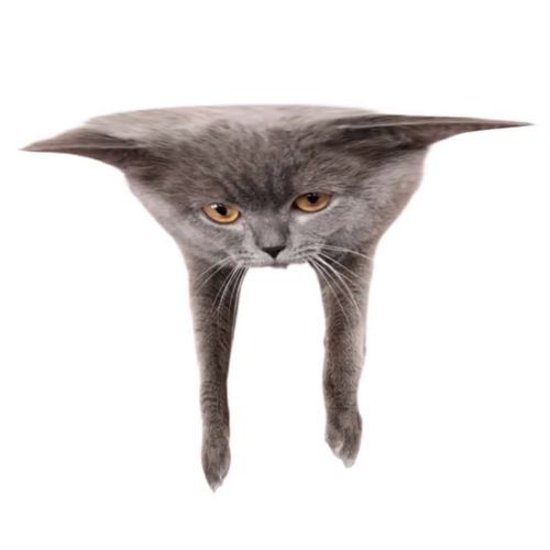 Oberezhnometano Blank Meme Template