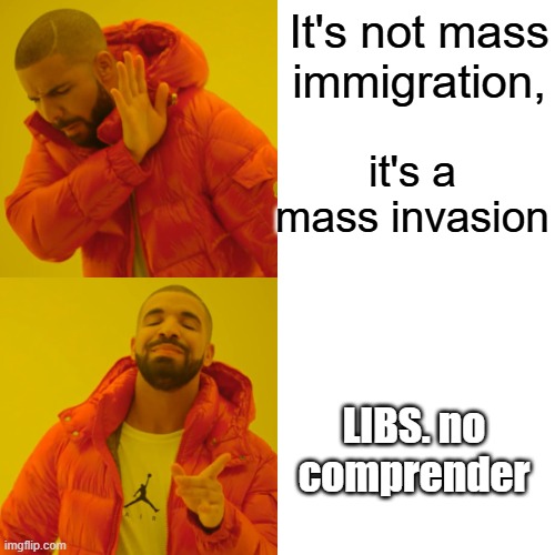 Third worlder's want to take your country. That fact is no longer deniable Look at UK & France Germany | It's not mass immigration, it's a mass invasion; LIBS. no comprender | image tagged in memes,drake hotline bling | made w/ Imgflip meme maker