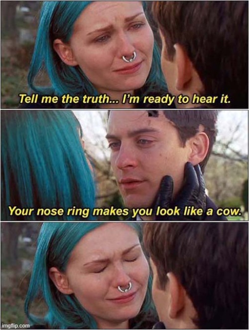 Just A Quick Reality Check | image tagged in reality check,nose ring,cow,dark humour | made w/ Imgflip meme maker