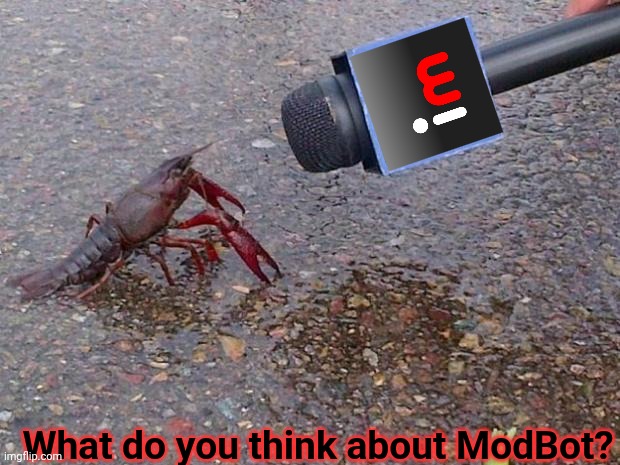 crayfish | What do you think about ModBot? | image tagged in crayfish | made w/ Imgflip meme maker