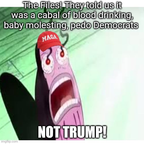 The Files! They told us it was a cabal of blood drinking, baby molesting, pedo Democrats NOT TRUMP! | made w/ Imgflip meme maker