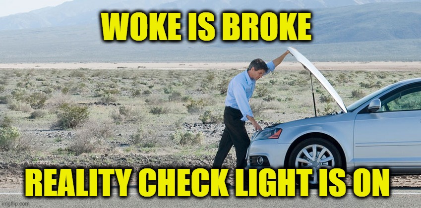 Democrats screwed themselves | WOKE IS BROKE; REALITY CHECK LIGHT IS ON | image tagged in democrats | made w/ Imgflip meme maker