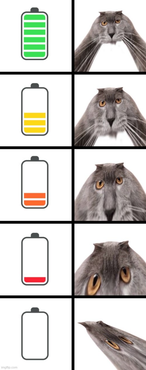 POV: My phone is running out of battery | image tagged in oberezhnometano,phone,battery,cats,pov,kotsiubiiv | made w/ Imgflip meme maker