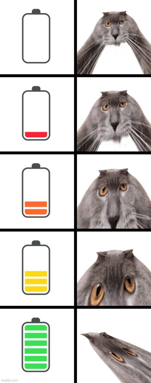 POV: I'm checking if my phone is charging | image tagged in oberezhnometano,phone,battery,cats,kotsiubiiv | made w/ Imgflip meme maker