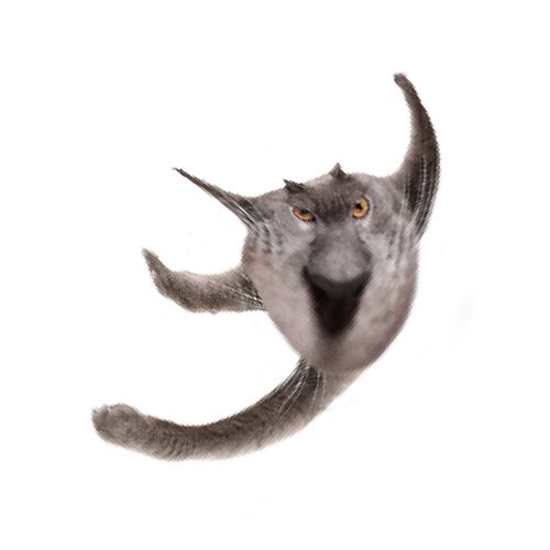 Neoberezhnometano Blank Meme Template