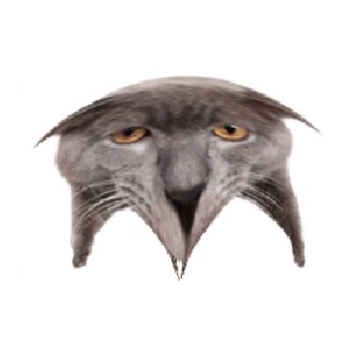 Neoberezhnometano Blank Meme Template