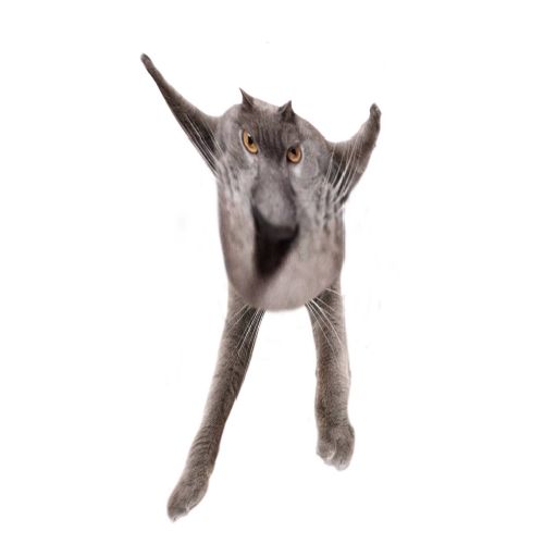 Neoberezhnometano Blank Meme Template