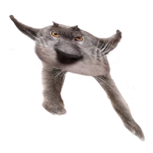 Neoberezhnometano Blank Meme Template