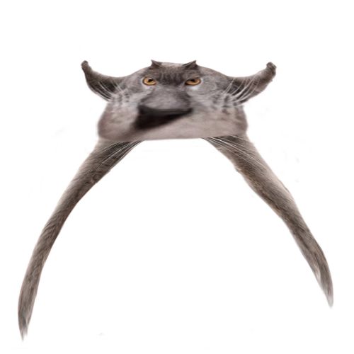 Neoberezhnometano Blank Meme Template
