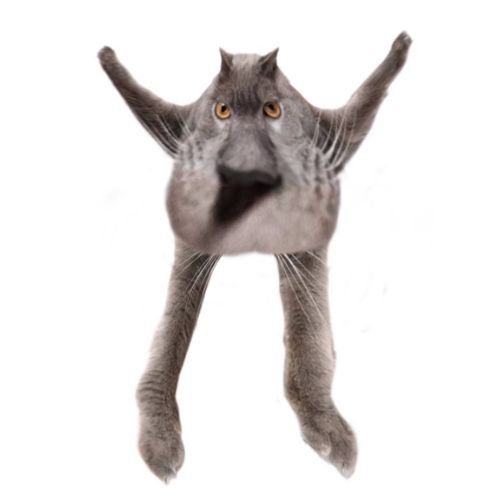 Neoberezhnometano Blank Meme Template