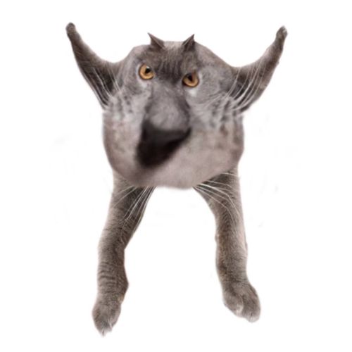 Neoberezhnometano Blank Meme Template