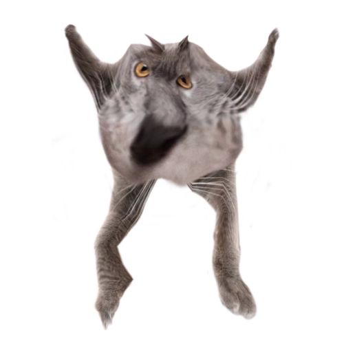 Neoberezhnometano Blank Meme Template