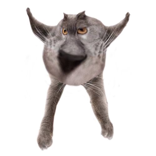 Neoberezhnometano Blank Meme Template