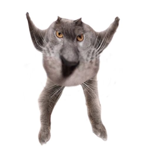 Neoberezhnometano Blank Meme Template