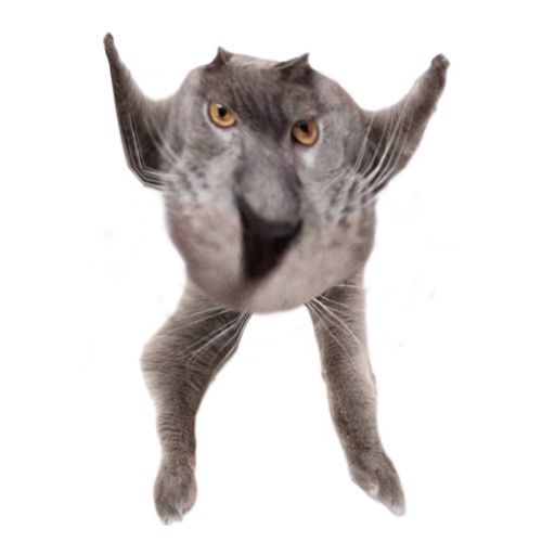 Neoberezhnometano Blank Meme Template