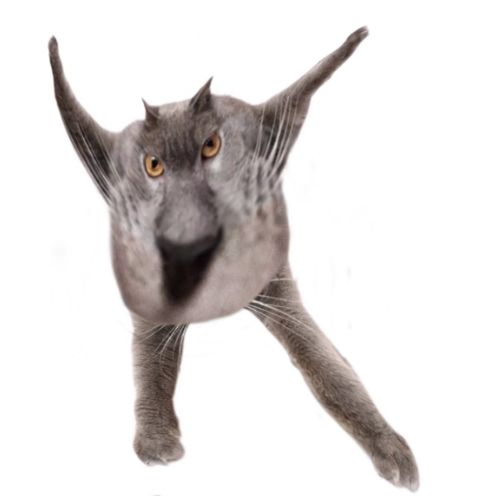 Neoberezhnometano Blank Meme Template
