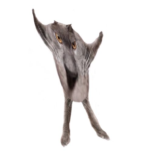 Neoberezhnometano Blank Meme Template