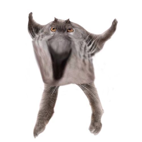 Neoberezhnometano Blank Meme Template