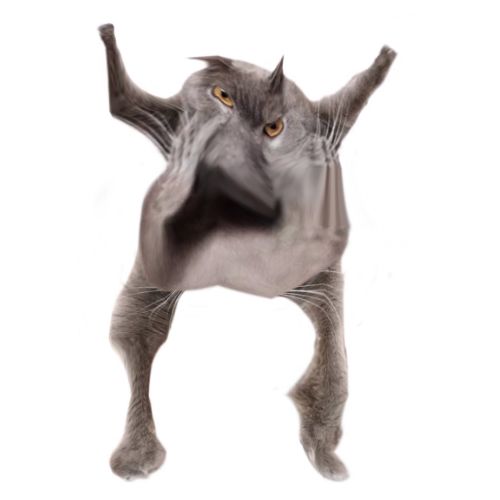 Neoberezhnometano Blank Meme Template