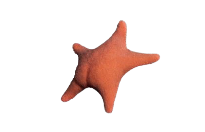 starbutt Blank Meme Template