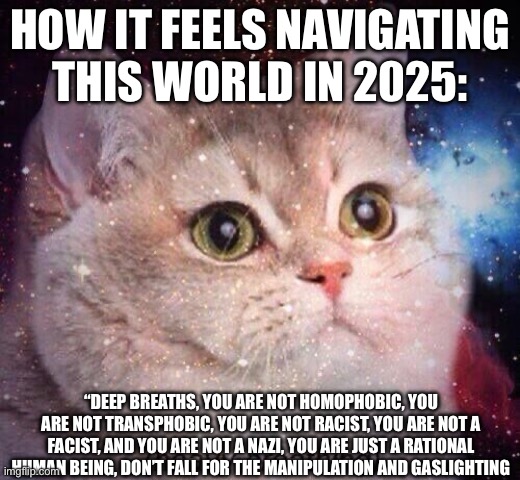 heavy breathing cat in space | HOW IT FEELS NAVIGATING THIS WORLD IN 2025:; “DEEP BREATHS, YOU ARE NOT HOMOPHOBIC, YOU ARE NOT TRANSPHOBIC, YOU ARE NOT RACIST, YOU ARE NOT A FACIST, AND YOU ARE NOT A NAZI, YOU ARE JUST A RATIONAL HUMAN BEING, DON’T FALL FOR THE MANIPULATION AND GASLIGHTING | image tagged in heavy breathing cat in space | made w/ Imgflip meme maker