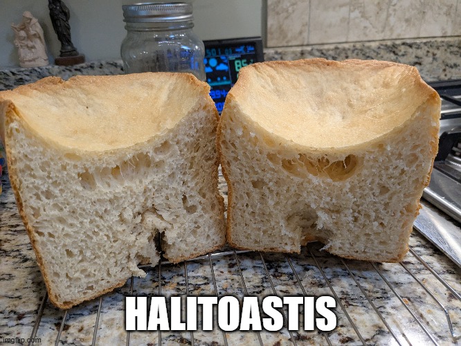 Bad Bread | HALITOASTIS | image tagged in funny memes | made w/ Imgflip meme maker