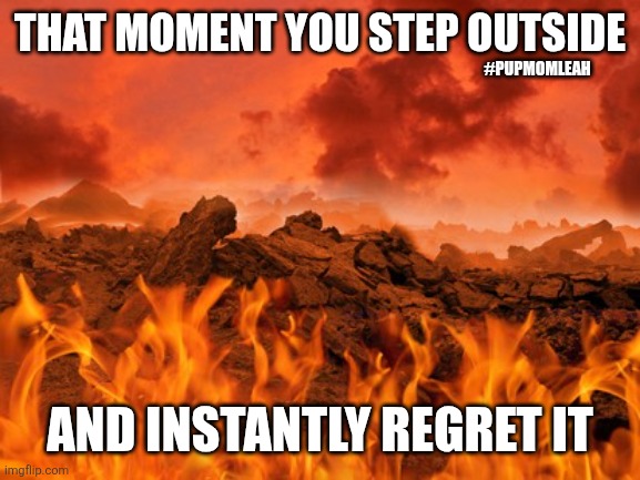The moment you step outside | THAT MOMENT YOU STEP OUTSIDE; #PUPMOMLEAH; AND INSTANTLY REGRET IT | image tagged in hot as hell | made w/ Imgflip meme maker