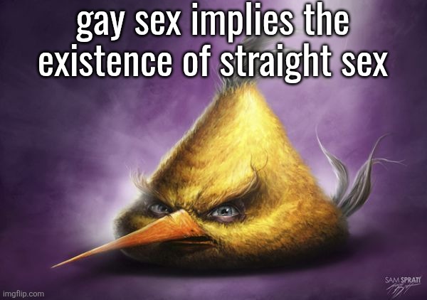 Realistic Chuck | gay sex implies the existence of straight sex | image tagged in realistic chuck | made w/ Imgflip meme maker