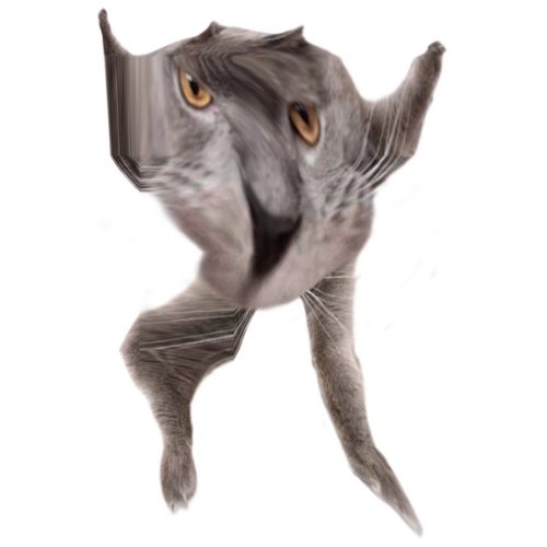 Neoberezhnometano Blank Meme Template