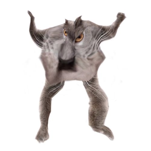 Neoberezhnometano Blank Meme Template