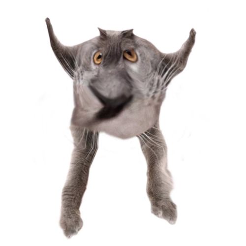Neoberezhnometano Blank Meme Template