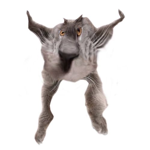 Neoberezhnometano Blank Meme Template