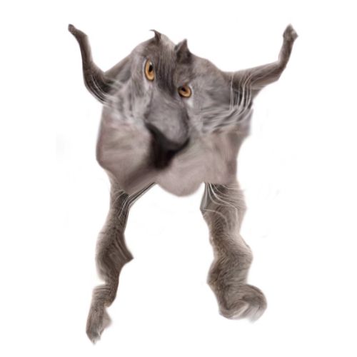 Neoberezhnometano Blank Meme Template