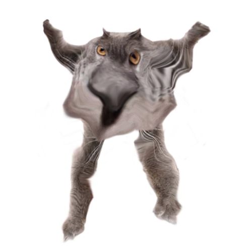 Neoberezhnometano Blank Meme Template