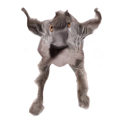 Neoberezhnometano Blank Meme Template
