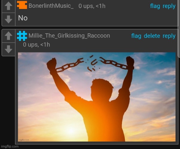 Two types of people when gooning is restricted: | image tagged in hell yeah i should post this to imgflip | made w/ Imgflip meme maker