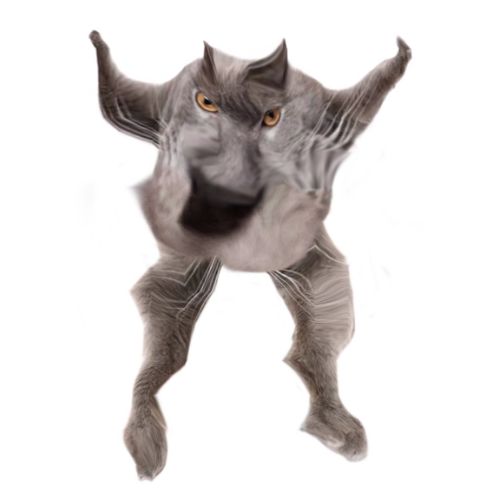 Neoberezhnometano Blank Meme Template