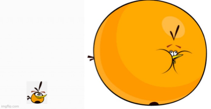 Angry birds had inflation | image tagged in bubbles normal and inflation | made w/ Imgflip meme maker