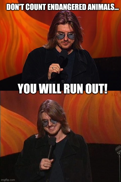 DON'T COUNT ENDANGERED ANIMALS... YOU WILL RUN OUT! | image tagged in mitch hedberg | made w/ Imgflip meme maker
