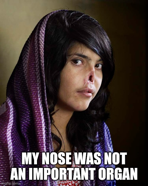 MY NOSE WAS NOT AN IMPORTANT ORGAN | made w/ Imgflip meme maker