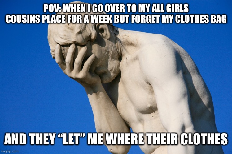 Forgetting Clothes To My All Girls Cousins Place | POV: WHEN I GO OVER TO MY ALL GIRLS COUSINS PLACE FOR A WEEK BUT FORGET MY CLOTHES BAG; AND THEY “LET” ME WHERE THEIR CLOTHES | image tagged in clothes,panties,bra,dress,skirt,thong | made w/ Imgflip meme maker