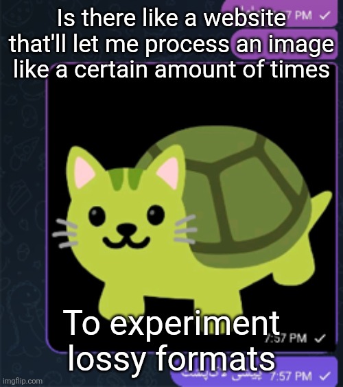 پیشی لاک پشت | Is there like a website that'll let me process an image like a certain amount of times; To experiment lossy formats | made w/ Imgflip meme maker
