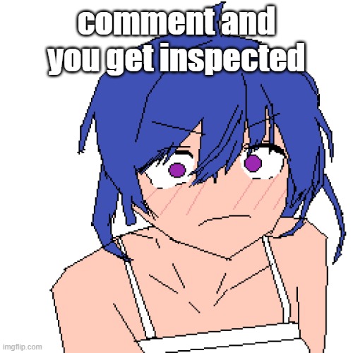 WHAT | comment and you get inspected | image tagged in what | made w/ Imgflip meme maker