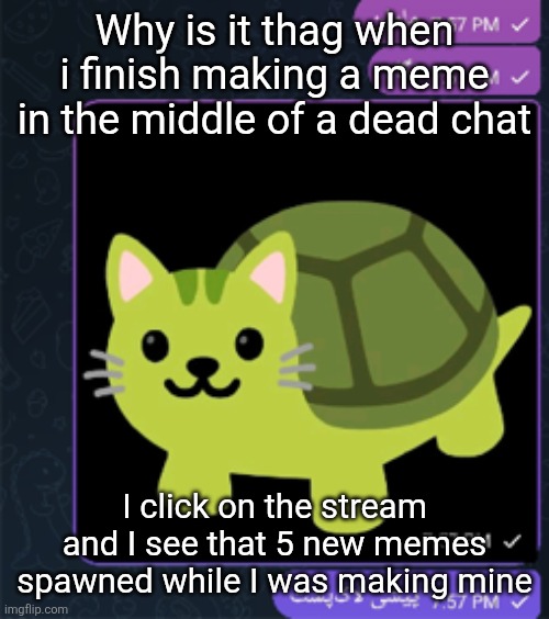 پیشی لاک پشت | Why is it thag when i finish making a meme in the middle of a dead chat; I click on the stream and I see that 5 new memes spawned while I was making mine | made w/ Imgflip meme maker