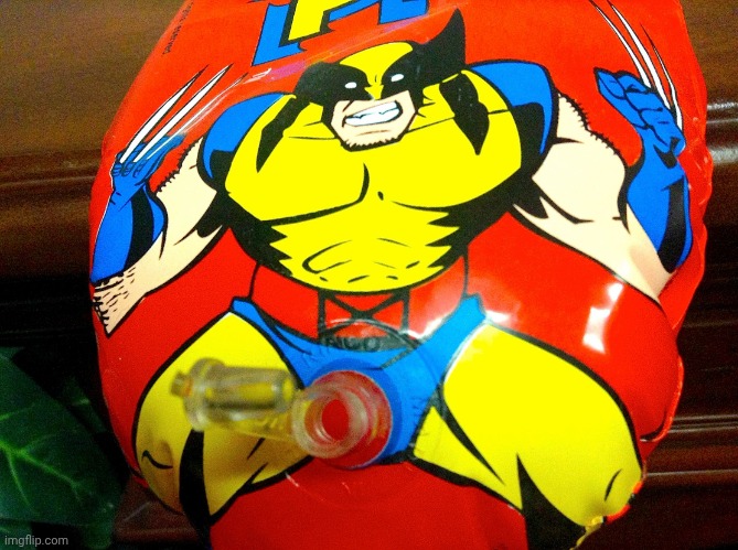 Dirty Wolverine hammer | image tagged in dirty wolverine hammer | made w/ Imgflip meme maker