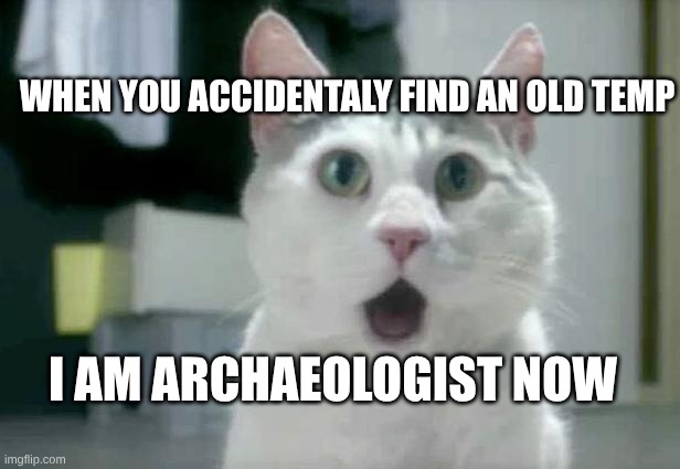 OMG Cat Meme | I AM ARCHAEOLOGIST NOW WHEN YOU ACCIDENTALY FIND AN OLD TEMP | image tagged in memes,omg cat | made w/ Imgflip meme maker