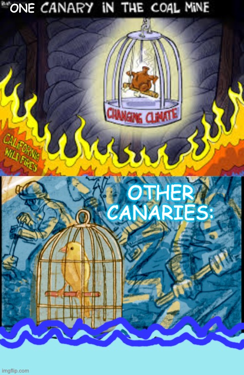 "Some say the world will end in fire, some say [flood]" (pace R. Frost) | ONE; OTHER
CANARIES: | image tagged in climate change,risk,danger,quote | made w/ Imgflip meme maker