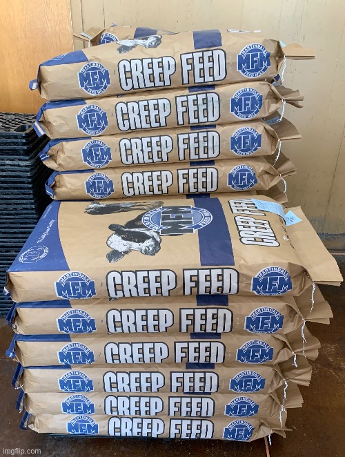 Lunch time | made w/ Imgflip meme maker